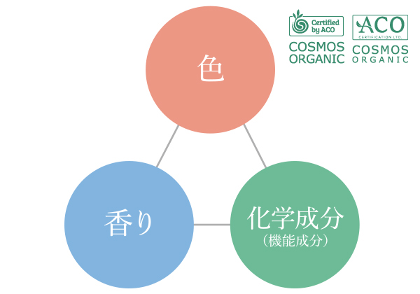 Essential Oils | 精油